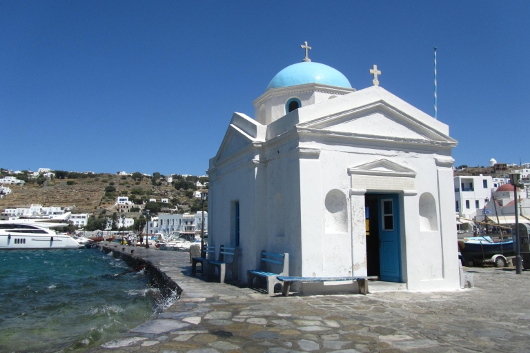 Desde Naxos: viaje en barco de 1 día a Delos y MiconosSin recogida