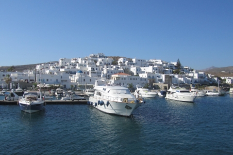 From Naxos: Delos and Mykonos Full-Day Boat Trip Without Pick-Up