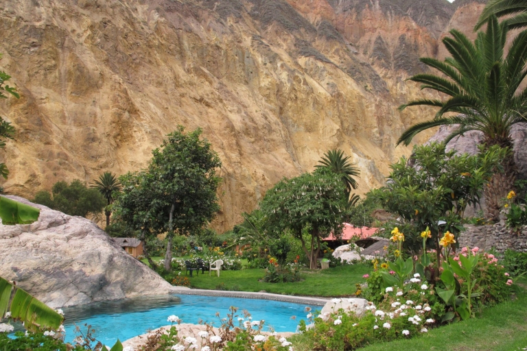From Arequipa: 3-Day Colca Canyon Trek From Arequipa: 3-Day Colca Canyon and Condor Trek
