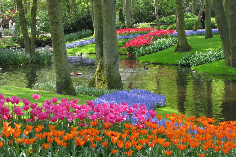 Amsterdam: Tur till Keukenhof Gardens med guidad kryssning till väderkvarn