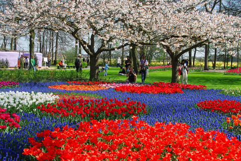 Amsterdam: Tour to Keukenhof Gardens with Windmill Cruise