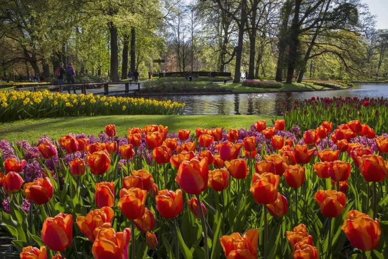Amsterdam: Day Trip Keukenhof Gardens with Windmill Cruise