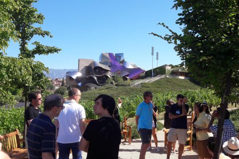 Rioja: Private Wine Tasting Tour