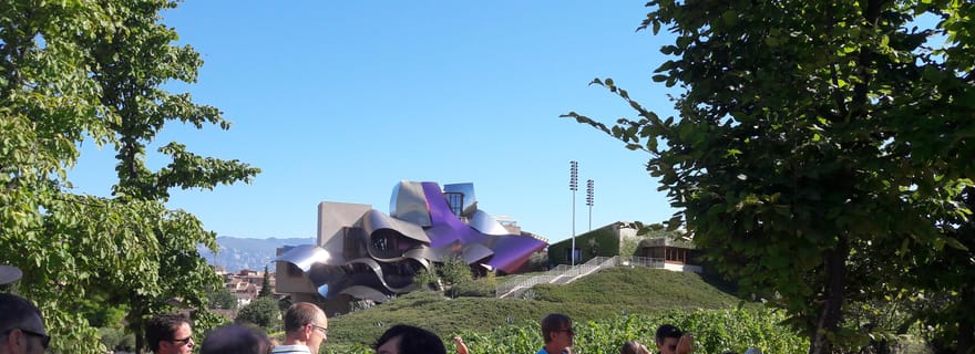 Rioja : visite privée de dégustation de vins