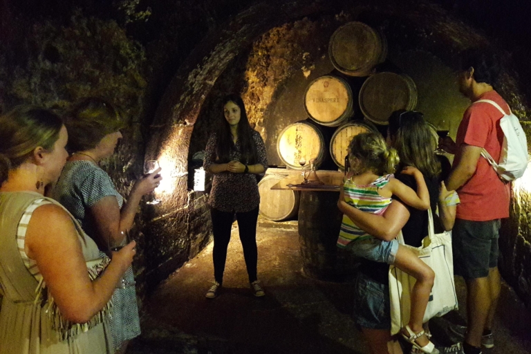 Rioja: privé wijnproeverijRioja Wine Private Tour: beste wijnproeverij