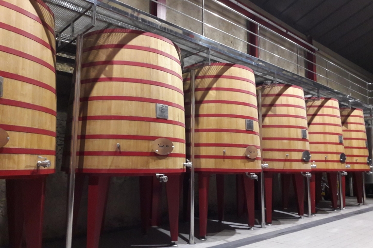 Rioja: Prywatna degustacja winaPrywatna wycieczka po winie Rioja: najlepsza wycieczka z degustacją wina