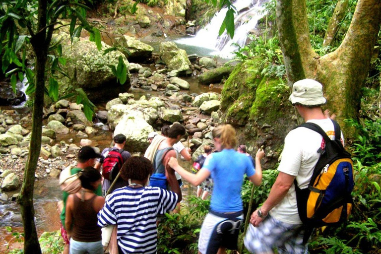 NADI: Wycieczka półdniowa do wioski NalesutaleFiji Marriott Momi Bay