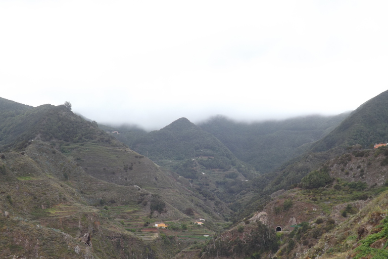 Santa Cruz de Tenerife : balade de 2 h dans la forêt d'Anaga