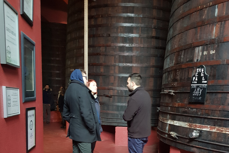 Porto: 3-Hour Port Wine Walking Tour with Tastings