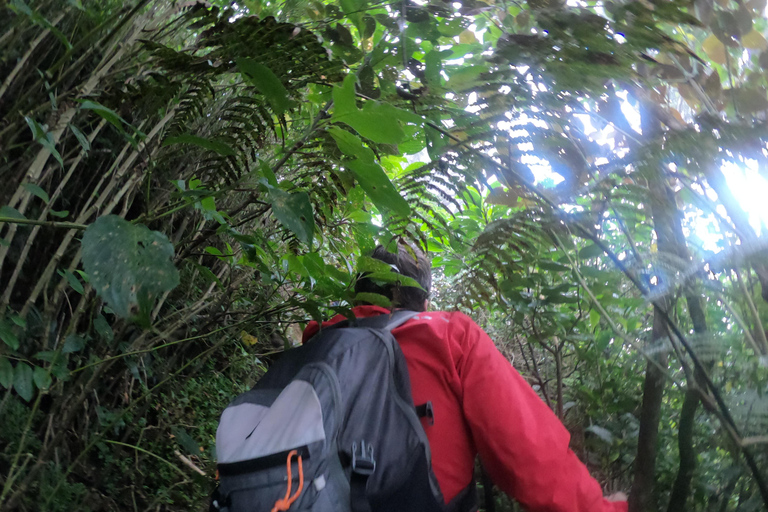 Kandy: Excursión de un Día a las Cascadas y la Aldea Local con Almuerzo