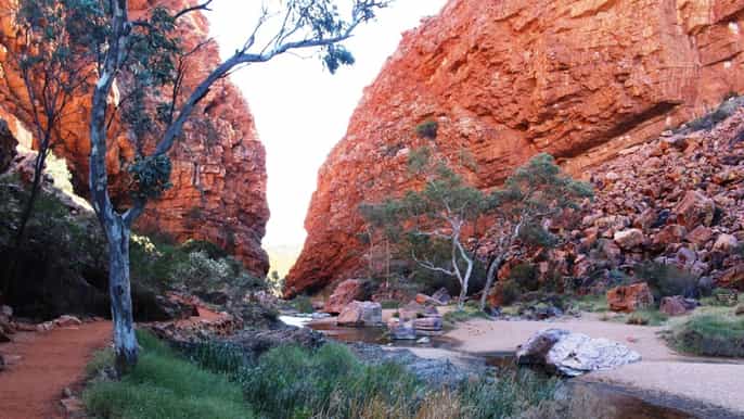 alice springs recorrido privado de medio día por macdonnell ranges
