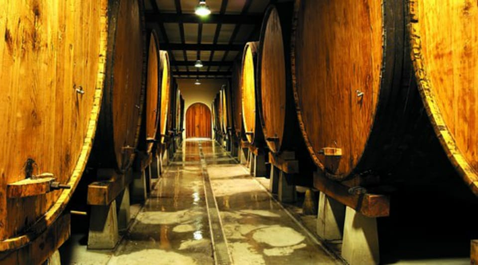 Cider House Experience From San Sebastián GetYourGuide