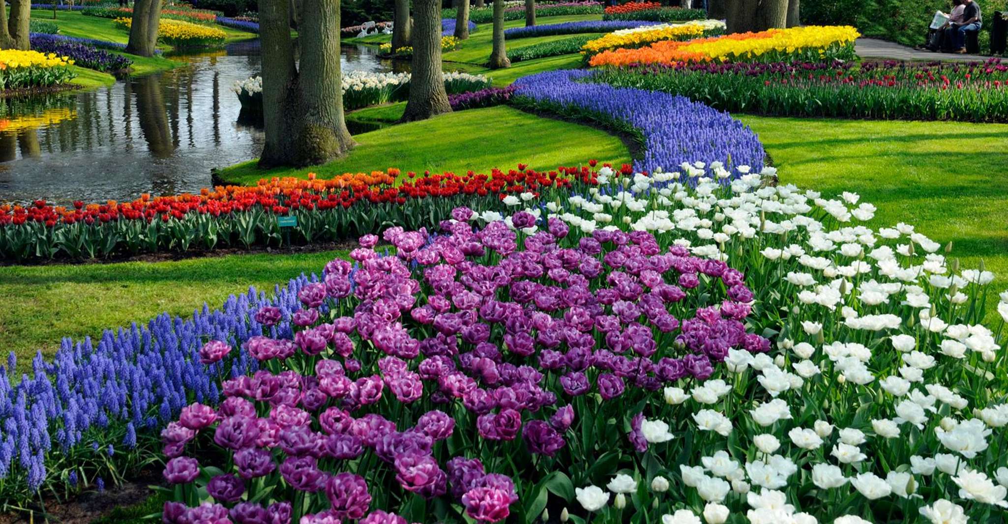 Amsterdam: Tour to Keukenhof Gardens with Windmill Cruise photo 11