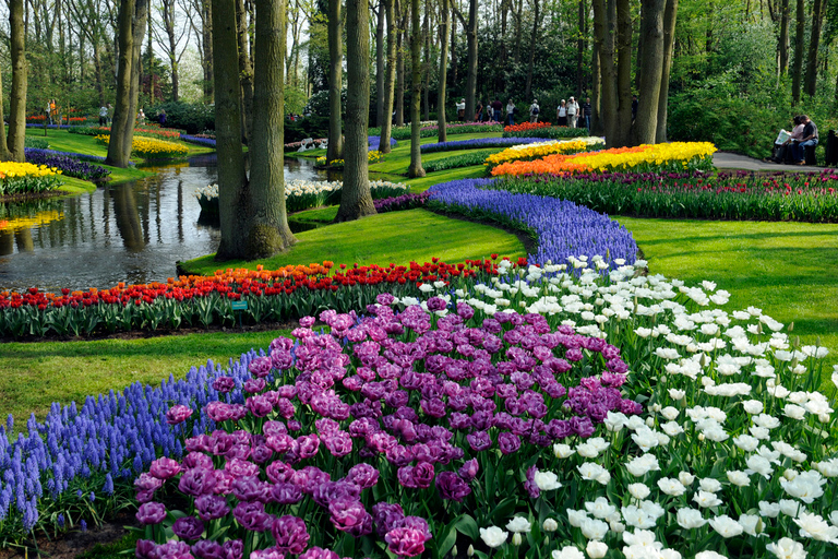 Amsterdam: Tour ai Giardini di Keukenhof con crociera sui mulini a vento