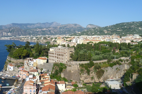 Naples: excursion d'une journée sur la côte amalfitaine