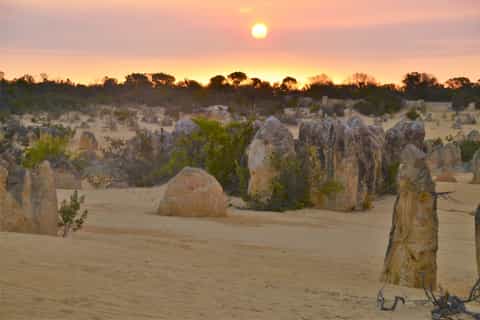 From Perth: The Pinnacles Desert Sunset and Star-Gazing Tour