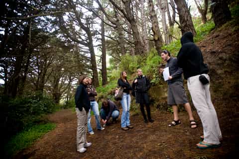 weta cave lord of the rings full day trip from wellington