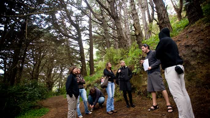 weta cave lord of the rings full day trip from wellington