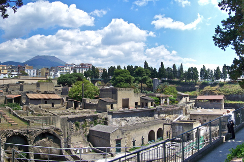 Herculaneum and Mount Vesuvius Private Tour