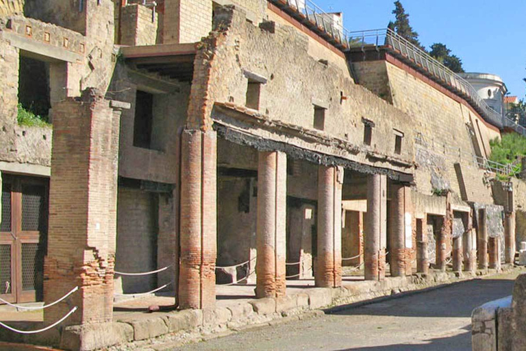 Tour privato di Ercolano e del VesuvioTour privato Ercolano e Vesuvio