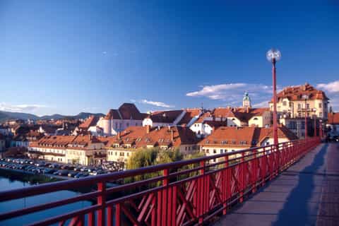 from ljubljana private tour to maribor ptuj vineyards