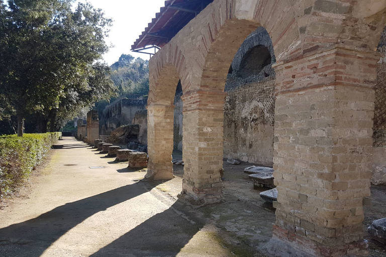 Nápoles: recorrido privado de día completo por los campos de Flees