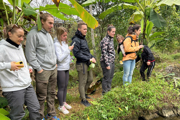 河内：2天-浦隆-徒步旅行、度假村和阳台房河内：2 天 Pu Luong 徒步、度假村和阳台房