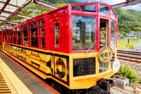 Osaka/Kyoto: Sanzenin, Arashiyama Train, Bamboo Forest Tour Kyoto Station Meeting Point 9:50 AM