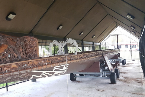 Maori Culture Small Group Afternoon Tour including Te Puia