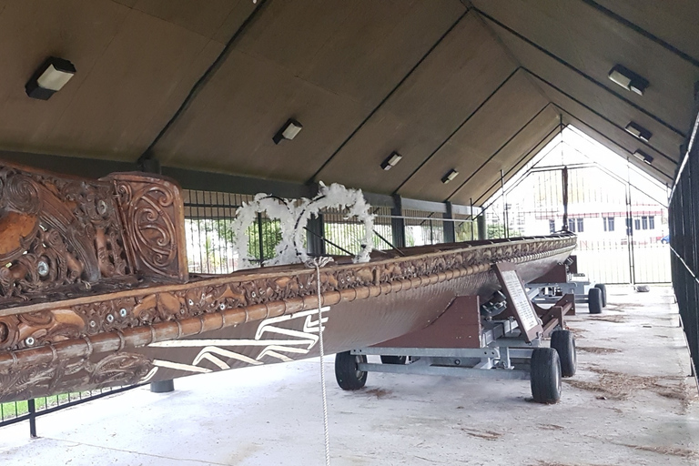 Maori Culture Small Group Afternoon Tour including Te Puia