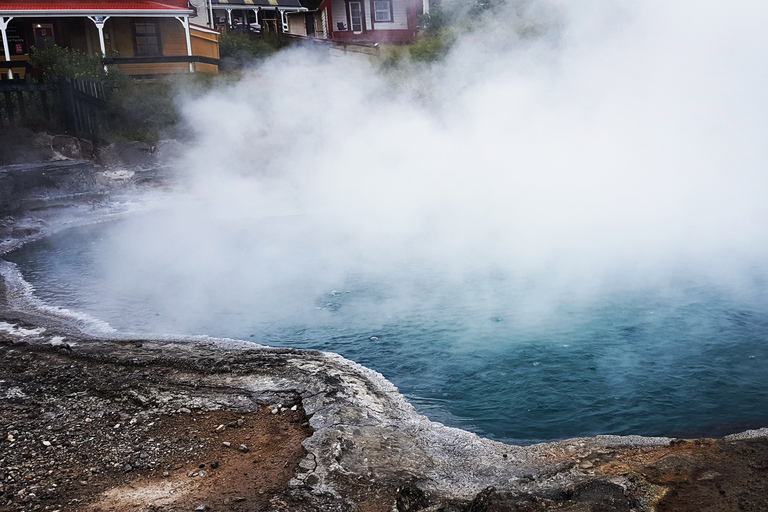 Maori Culture Small Group Afternoon Tour including Te Puia