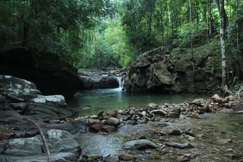 Langkawi: Kubang Badak River Mangrove Cruise and Swimming
