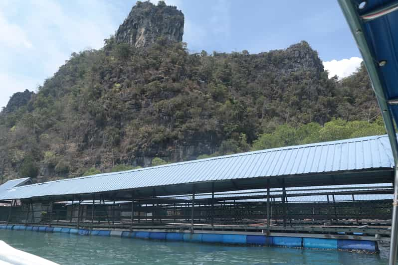 unesco geopark mangrove cruise