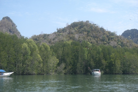 Croisière sur la mangrove du géoparc mondial UNESCO de Langkawi