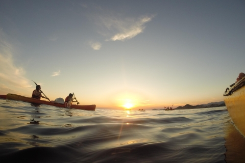 Dubrovnik: Sea Kayaking Day or Sunset Tour Dubrovnik: Sunset Sea Kayaking Tour with Wine