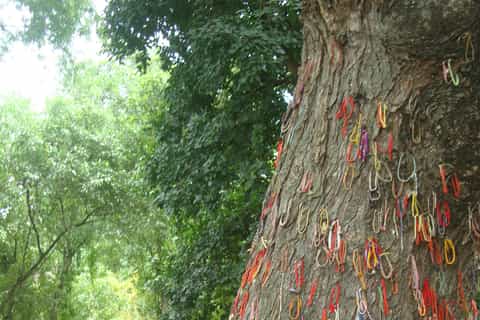 Phnom Penh: S-21 Prison and Killing Fields Half-Day Tour