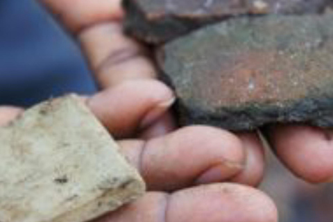 Wyspa Pemba: wycieczka z przewodnikiem po wiosce Mjini Ole z lunchemWyspa Pemba: wycieczka z przewodnikiem po wiosce Mjini Ole z obiadem