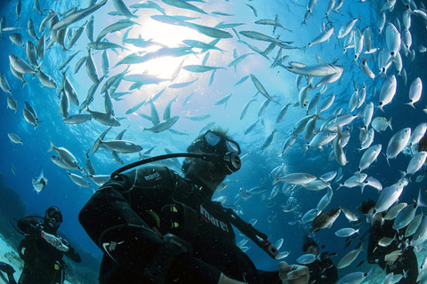 Malte : Cours d&#039;initiation à la plongée sous-marine PADI d&#039;une journée