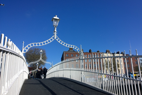 Dublin: Private City Tour in German