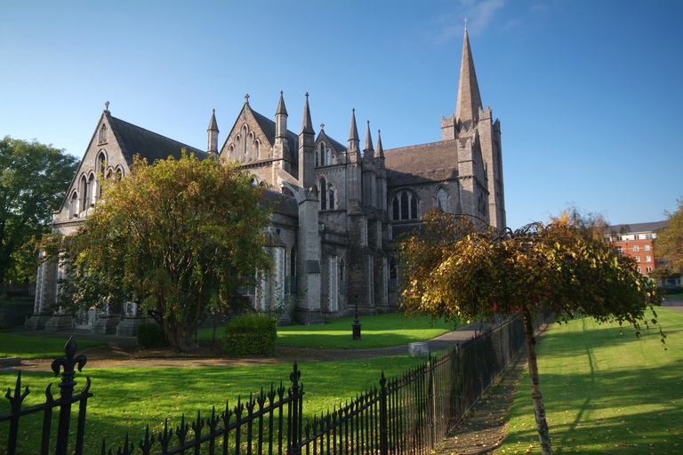 Dublin: visite privée à pied d'une demi-journée