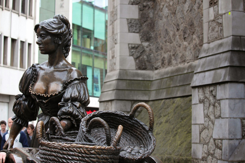 Dublin: Half-Day Private Walking Tour