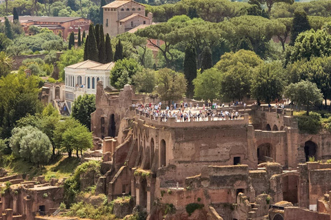 Rome: Colosseum, Roman Forum & Palatine Hill Guided Tour EXTERIOR Only Tour of Colosseum, & Palatine Hilll
