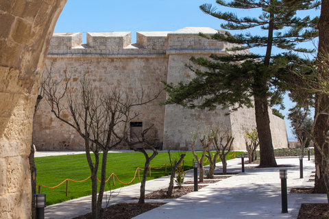 Malta: tour de día completo por La Valeta y Mdina