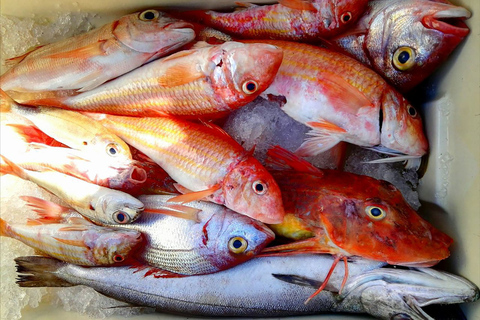 Au départ de Sorrente : Pêche à Capri avec déjeuner