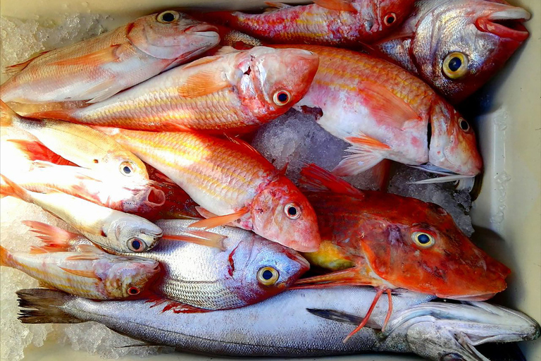 De Sorrento: Pesca em Capri com almoço