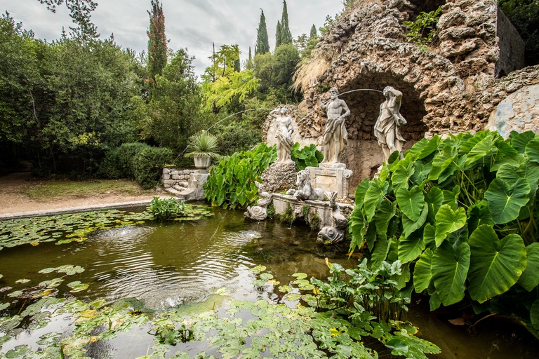 Dubrovnik: Full-Day Total Game of Thrones Experience