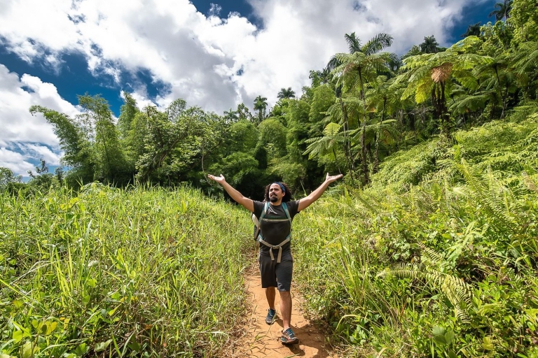 Desde San Juan: recorrido fuera de lo común por el bosque de El Yunque