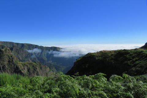 Madeira: Tour in 4X4 delle Valli delle Monache e del Pico AreeiroTour condiviso