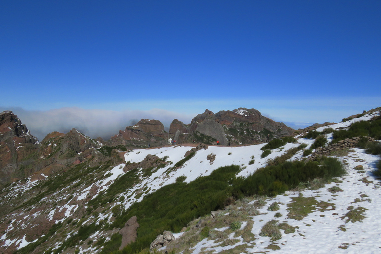 Madeira: Tour in 4X4 delle Valli delle Monache e del Pico AreeiroTour condiviso