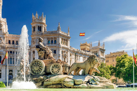Madrid: Toledo & Madrid Small Group Tour with Hotel Pickup Tour en Español